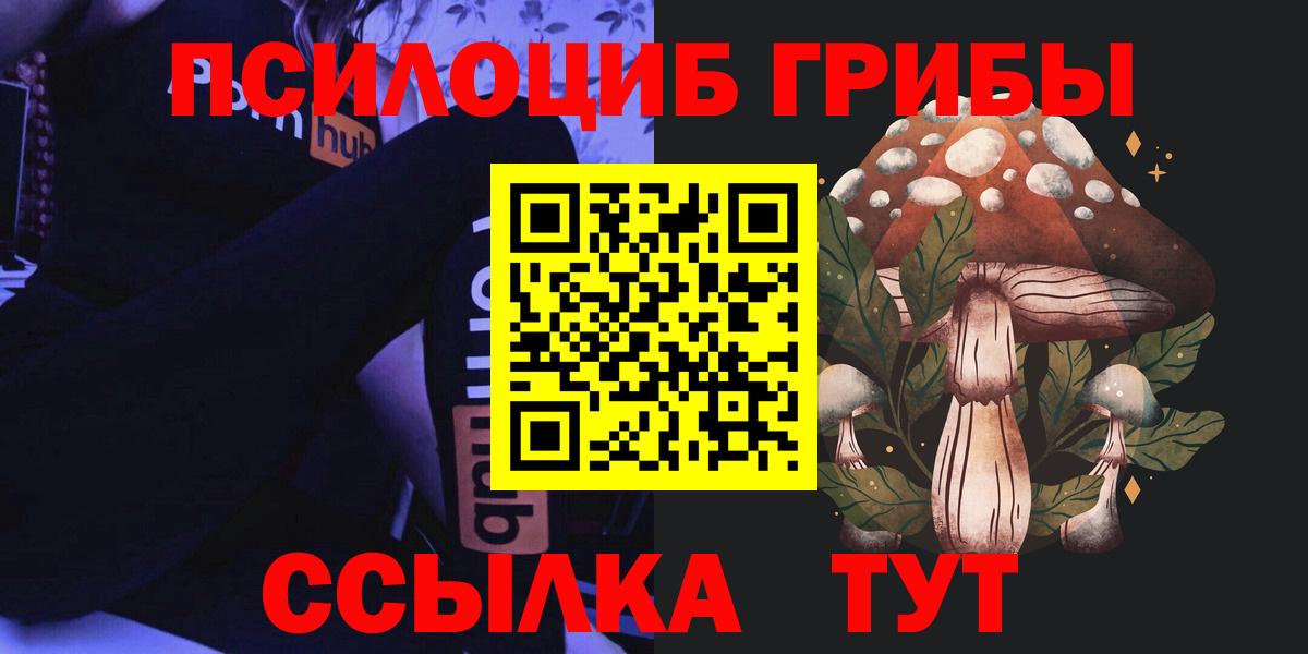 Балашов  Псилоцибиновые грибы MAGIC MUSHROOMS  Вход с VPN 